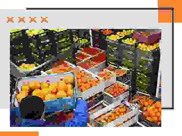Перевозка скоропортящихся продуктов в Скопине